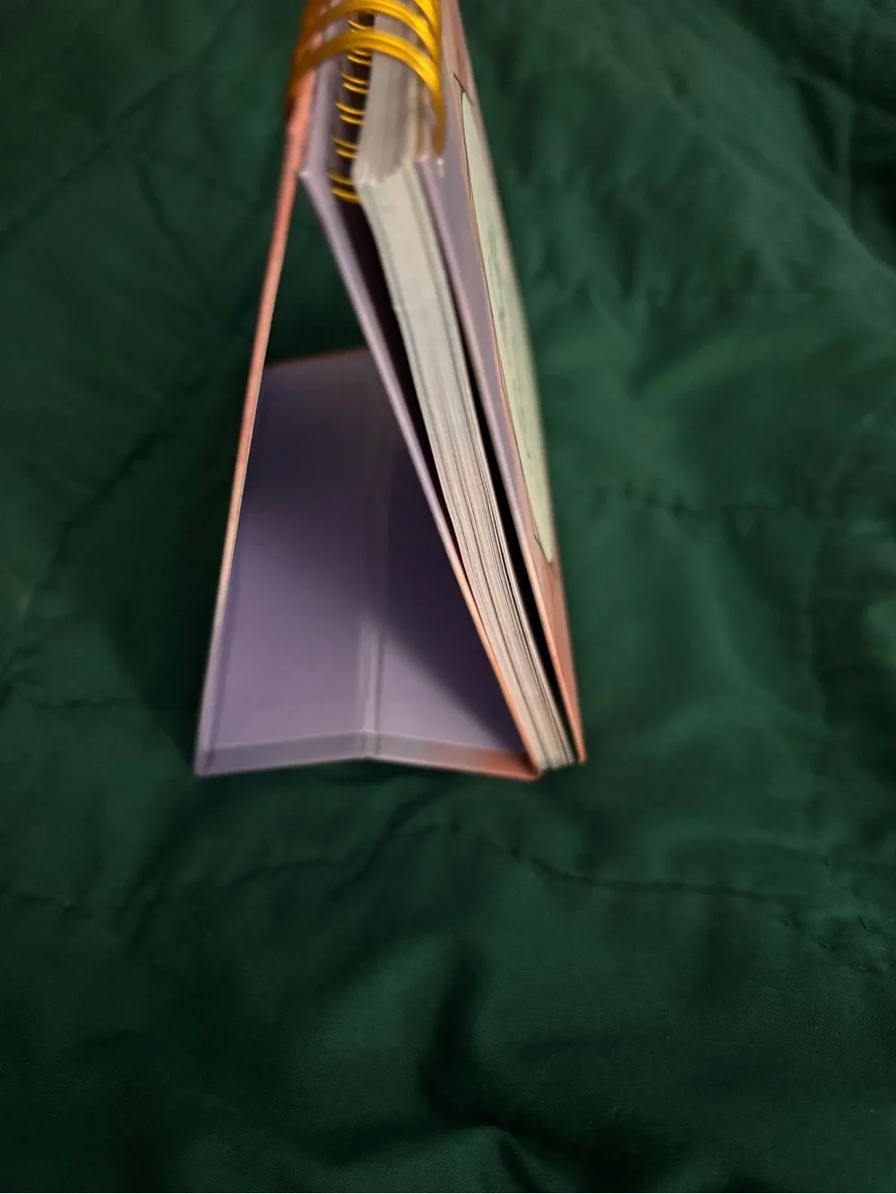 Faithful Reminders Pink Flipbook